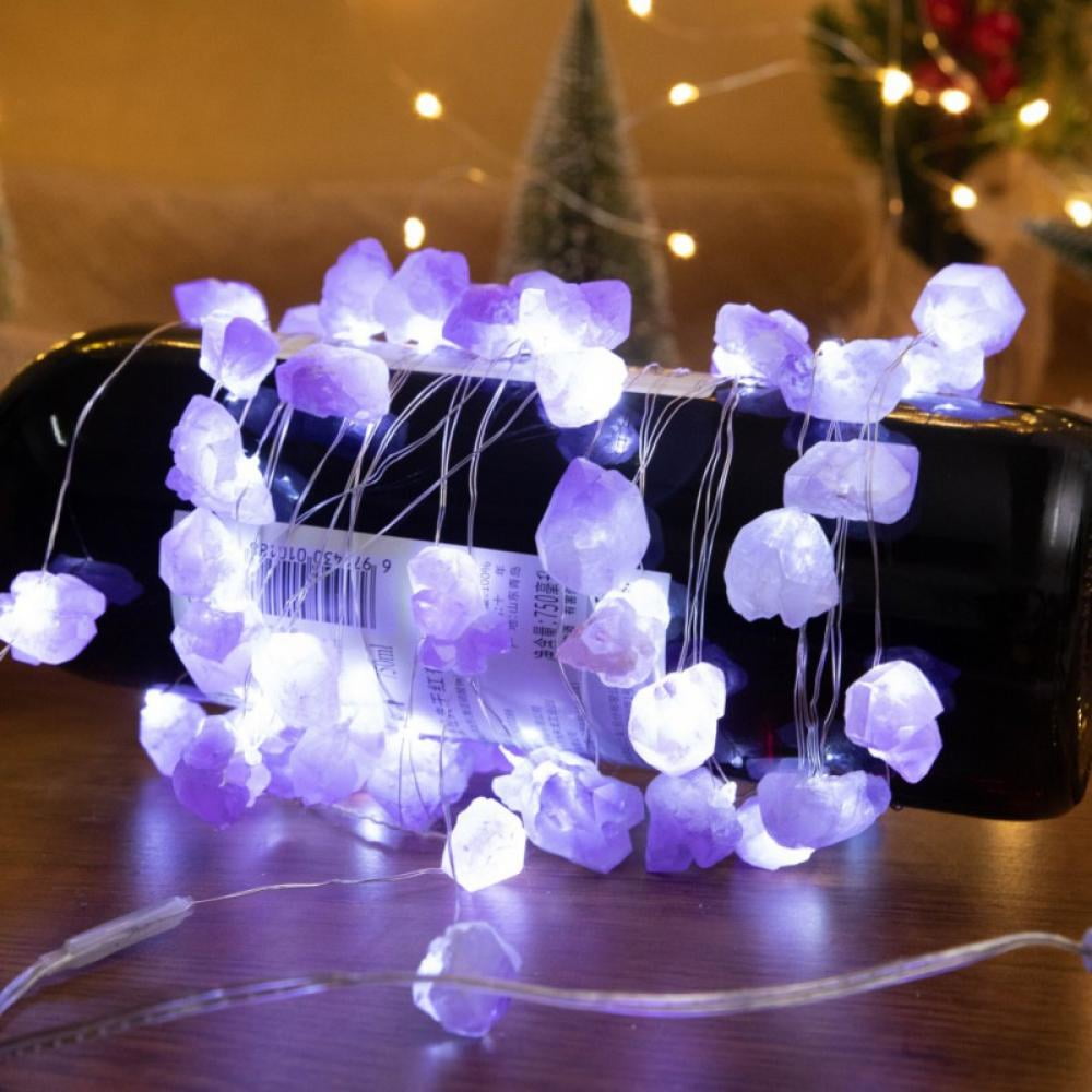 WSgift Crystal Dolphin Decorative String Lights 18.7 Ft 40 LED USB Plug-in Si... 