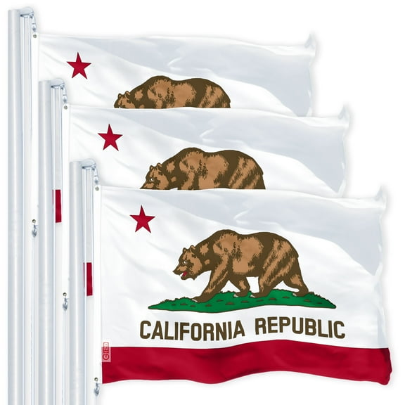 California CA State Flag 3x5FT 3-Pack 150D Printed Polyester By G128