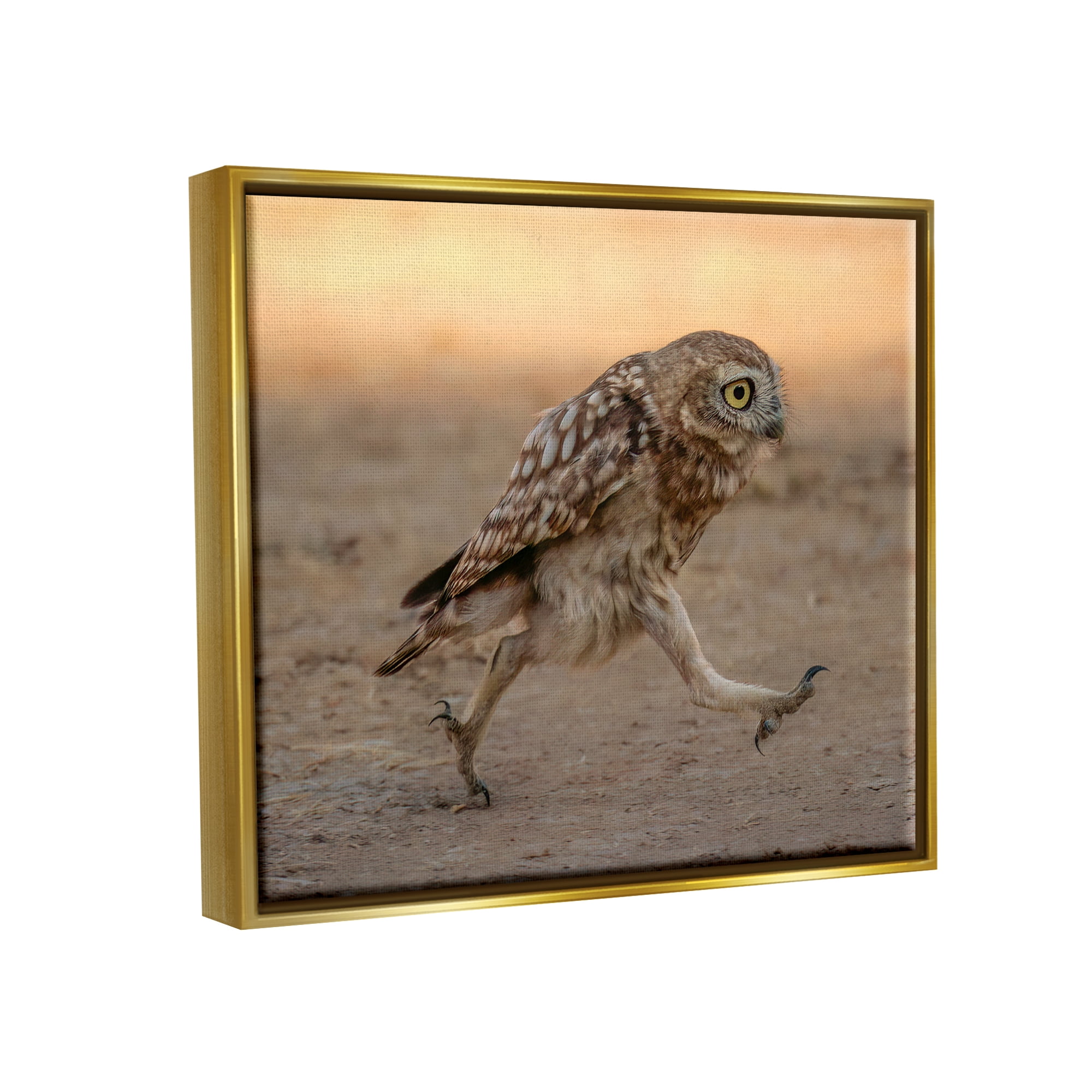 Stupell Industries Rushing Little Owl Animals & Insects Photography Gold Floater Framed Canvas Art Print Wall Art, 21 x 17