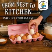 Cackle Hatchery Foam Egg Cartons for Chicken Eggs Holds 1 Dozen Eggs (Assorted Colors, 50 Pack)