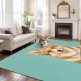 thumbnail image 2 of Green Dog Area Rugs 5'x7', Washable Small Throw Rugs for Laundry Room Playroom, Funny Animals Modern Art Indoor Outdoor Rug Non-Slip Low Pile Carpet Runner Reversible Floor Mats, 2 of 8