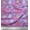 Lavender, variant on Soimoi Velvet Fabric Crab,Balloons & Alphabets Kids Decor Fabric Printed Yard 58 Inch Wide