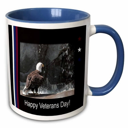 3dRose Veterans Day, Eagle by Waterfall - Two Tone Blue Mug,