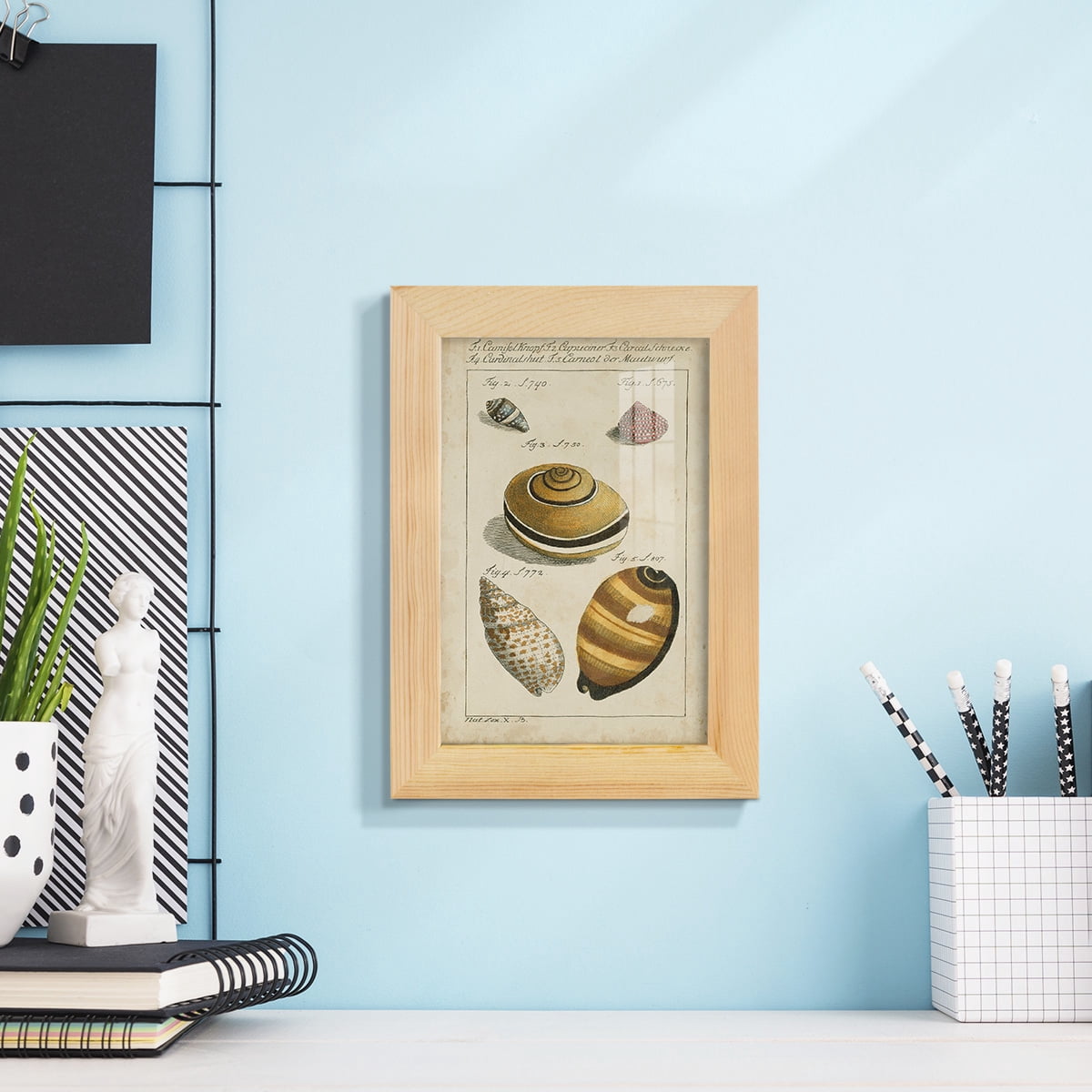 Vintage Shell Study IV -Framed Print w/glass-Natural Wood