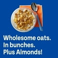 thumbnail image 4 of (3 pack) Post Honey Bunches of Oats with Almonds Breakfast Cereal, Crunchy Family Size Cereal, 18 oz Box, 4 of 13