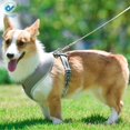 thumbnail image 5 of Deago Dog Harness Leash Set, Dog Harness No-Pull Pet Harness Adjustable Reflective Mesh Outdoor Pet Vest for Dogs Easy Control for Small Medium Dogs - Size XS, Gray, 5 of 10