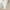 White, variant on Snoarin Plus Size Capris Pants for Women Fashion Elastic Waist Straight Linen Pants Cargo Pants Wide Leg Pants Casual Pants S-5XL