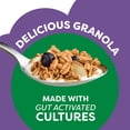 thumbnail image 5 of Kashi Gut Health Blueberry Almond Granola, Prebiotics and High Fiber, Whole Grain, 8 oz pack of 1, 5 of 5