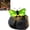 Green, variant on Illuminated Butterfly Stone Garden Light, Outdoor Solar Butterfly Glowing Landscape Rock, LED Waterproof Resin Decorative Lights for Patio Yard Lawn Pathway Porch Gifts