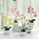 thumbnail image 2 of Planta artificial Bewildely Cerámica Rosa, 2 of 6