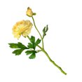 thumbnail image 2 of Yuarrent Ramo de Camelia Artificial de 2 cabezas simulación hogar jardín decoración boda banquete fiesta DIY Decoración Accesorios Flores artificiales amarillo Yuarrent HA8264-07B, 2 of 6