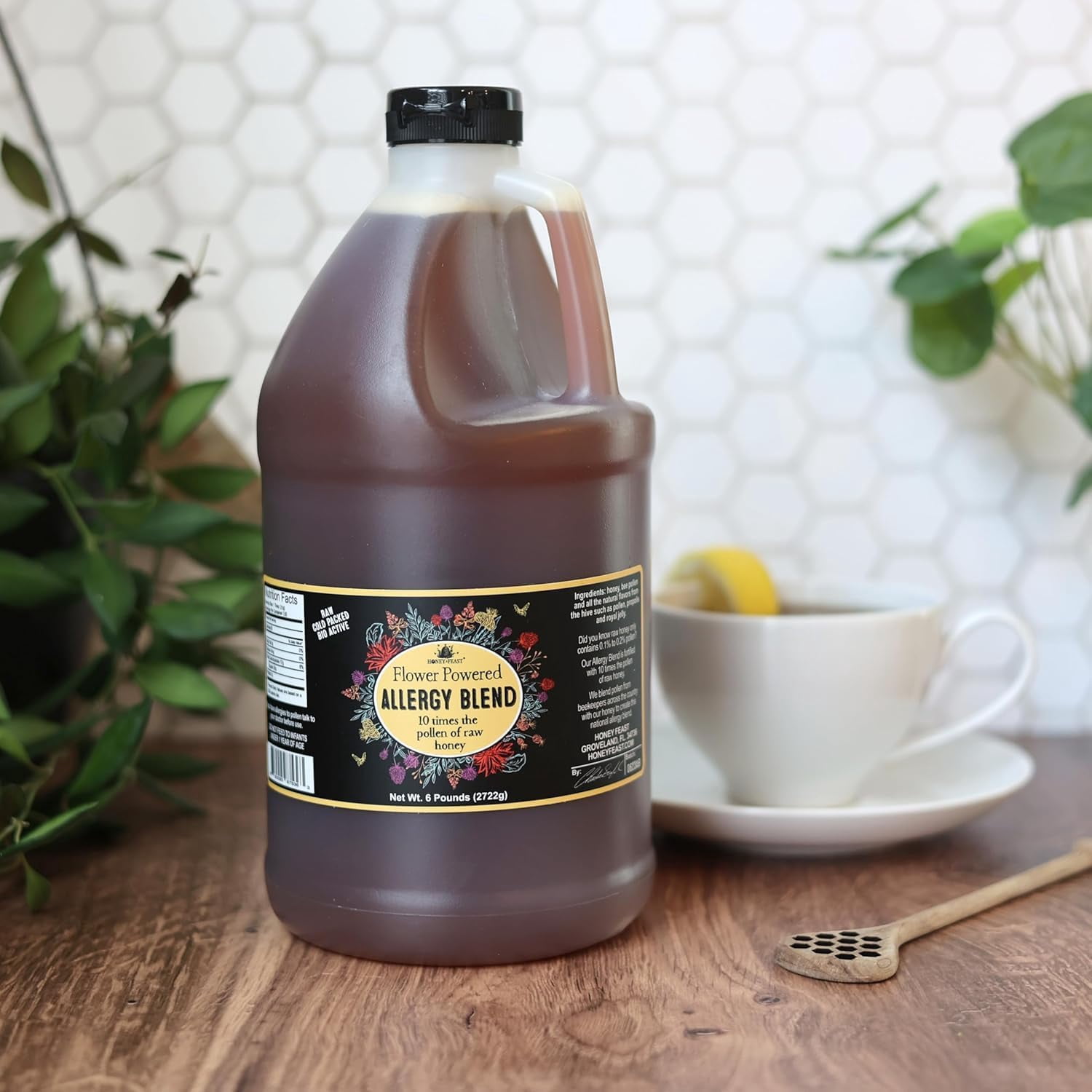 HONEY FEAST 6 Pounds Bulk Allergy Blend Honey - Vast American, Florida Crafted, Raw & Unfiltered, High Pollen Content, Directly from Central Florida Beekeepers