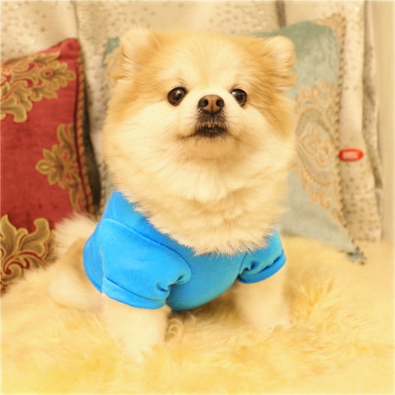 Easter Dog Clothing Cotton Vest Puppy Costume for Small Dog,Dog Easter Outfit,Easter Dog Shirt,Sky Blue,L