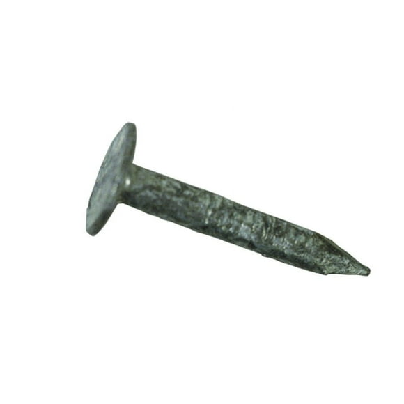 200 Pack 1" x 11 Ga. Electro Galvanized Canadian Large Head Roofing Nails