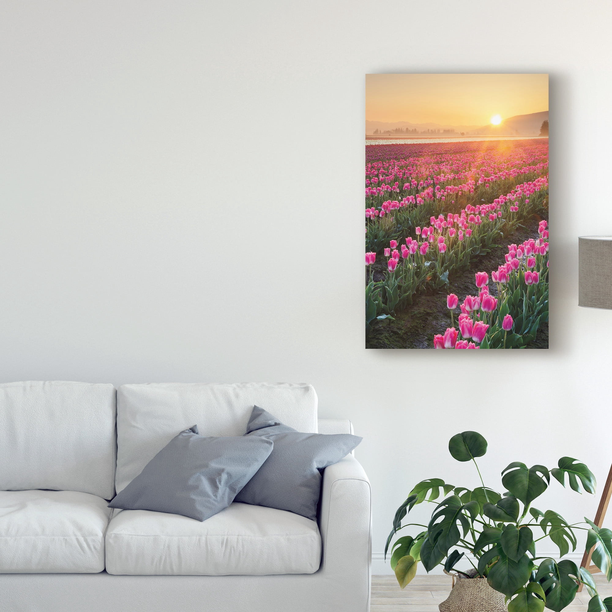 Trademark Fine Art 'Skagit Valley Tulips II' Canvas Art by Alan Majchrowicz