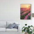 thumbnail image 2 of Trademark Fine Art 'Skagit Valley Tulips II' Canvas Art by Alan Majchrowicz, 2 of 4