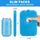 thumbnail image 2 of Paquete de 4 Bolsas de Hielo LotFancy para Enfriador y Lonchera Azul, 2 of 7