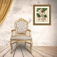 thumbnail image 3 of Vision Studio 15x18 Gold Ornate Wood Framed with Double Matting Museum Art Print Titled - Botanic Beauty I, 3 of 4