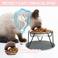 thumbnail image 2 of Ceramic Elevated Cat Food Bowls, with Non-Slip Mat,Raised Cat Bowls for Indoor Cats, Ceramic Cat Food Bowls with Stand,Cat Bowl Whisker Friendly(Black+Pink), 2 of 7