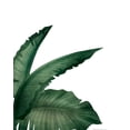 thumbnail image 2 of Allen, Kimberly 26x32 White Modern Wood Framed Museum Art Print Titled - Palms 1, 2 of 4