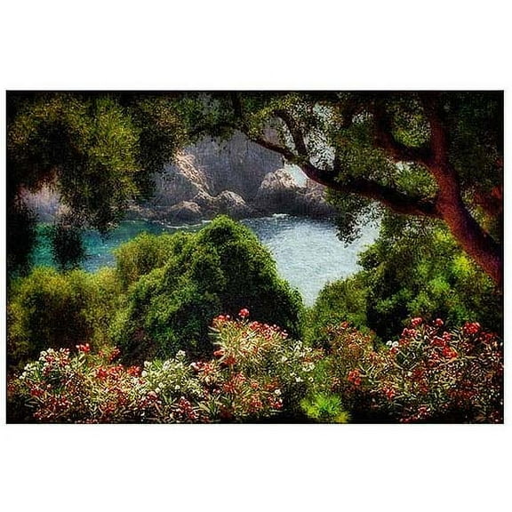 Trademark Fine Art "Water Plain" Canvas Art by Lois Bryan