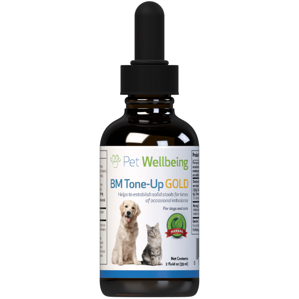 Pet Wellbeing Natural Cat Diarrhea Home Treatment - BM Tone-Up Gold 2oz (59ml)