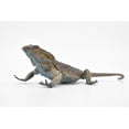 thumbnail image 5 of Bearded Dragon Toy, Lizards, Reptiles, Very Realistic Rubber Figure, Model, Educational, Animal, Hand Painted Figurines, 5" CH046 BB76, 5 of 8