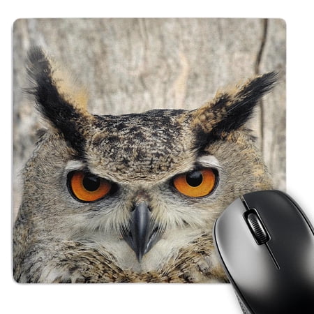 3dRose  Eagle Owl  bubo bubo  MousePad price history on PriceWatchPro