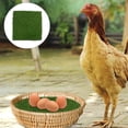 thumbnail image 5 of YOSADIER Durable Artificial Grass Rug for Chicken Nesting, Green Plastic Mat, Easy to Clean and Weather Resistant, 5 of 10