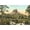Unframed, variant on Art.com Thumb Butte, Prescott, Arizona Art Print, 18" x 12"