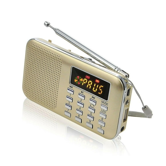 Portable Radio, (Gold) FM AM Battery and Mains Radio, MP3, Speaker, Support TF Card/USB, Torch, Suitable for Survival, Bathroom, Travel and Outdoor, C