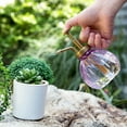 thumbnail image 3 of Glass Watering Can 350ml Desktop Gardening Potted Plant Succulents Watering Kettle Flower Watering Tool, 3 of 8