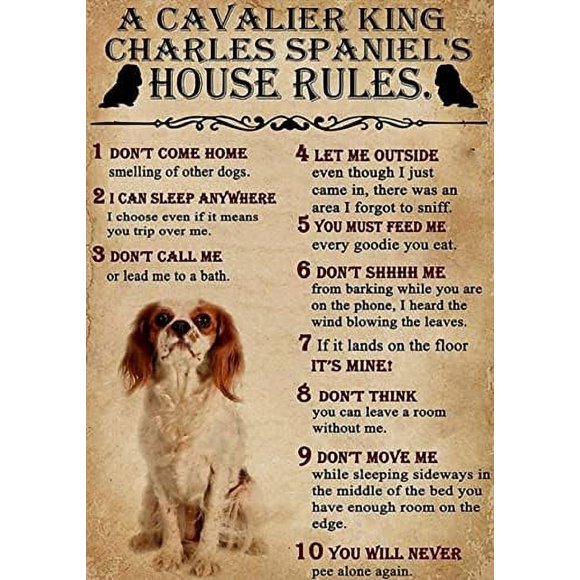 300 Piece Wooden Puzzle for Adults a Cavalier King Charles spaniel's House Rules Gifts Jigsaw Puzzle Challenging for Youth Fun Puzzle Family Educational Game Toys Activities Gift