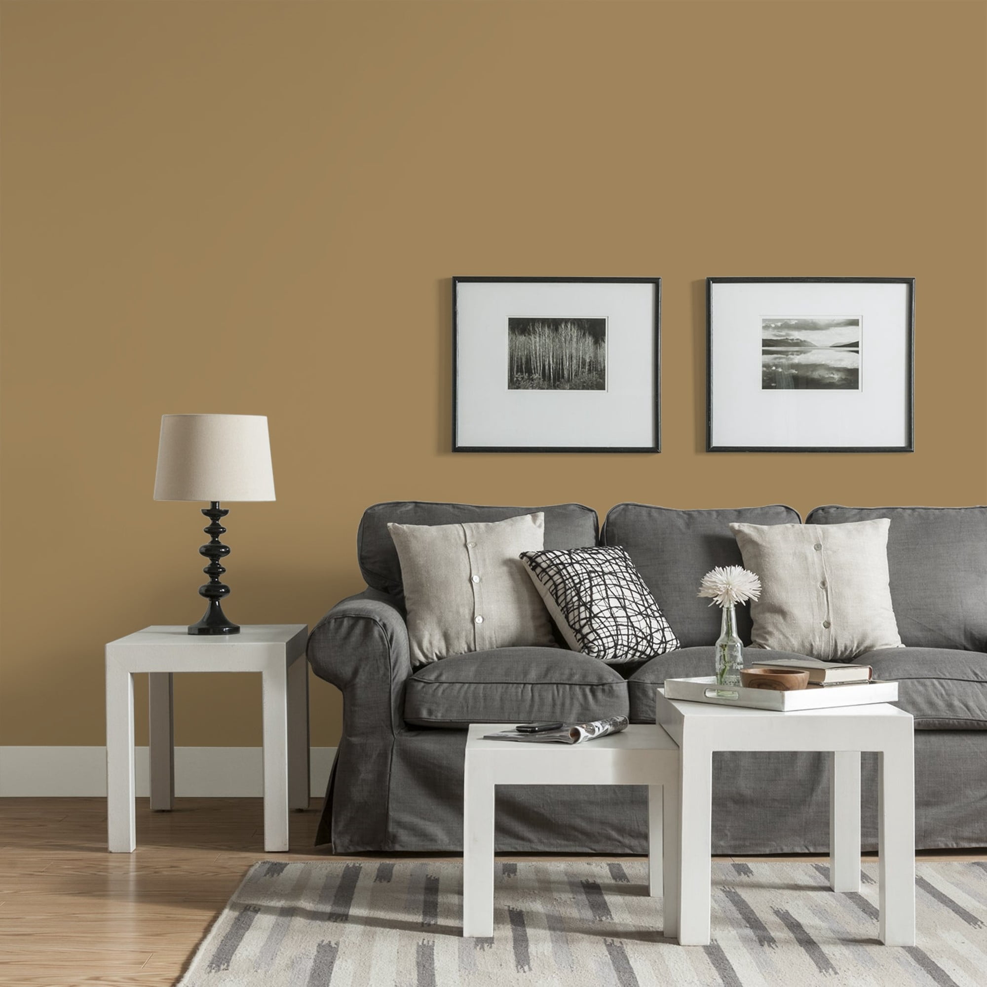 Glidden Fundamentals Timber Beam / Brown, Eggshell Interior Paint, 1 Gallon