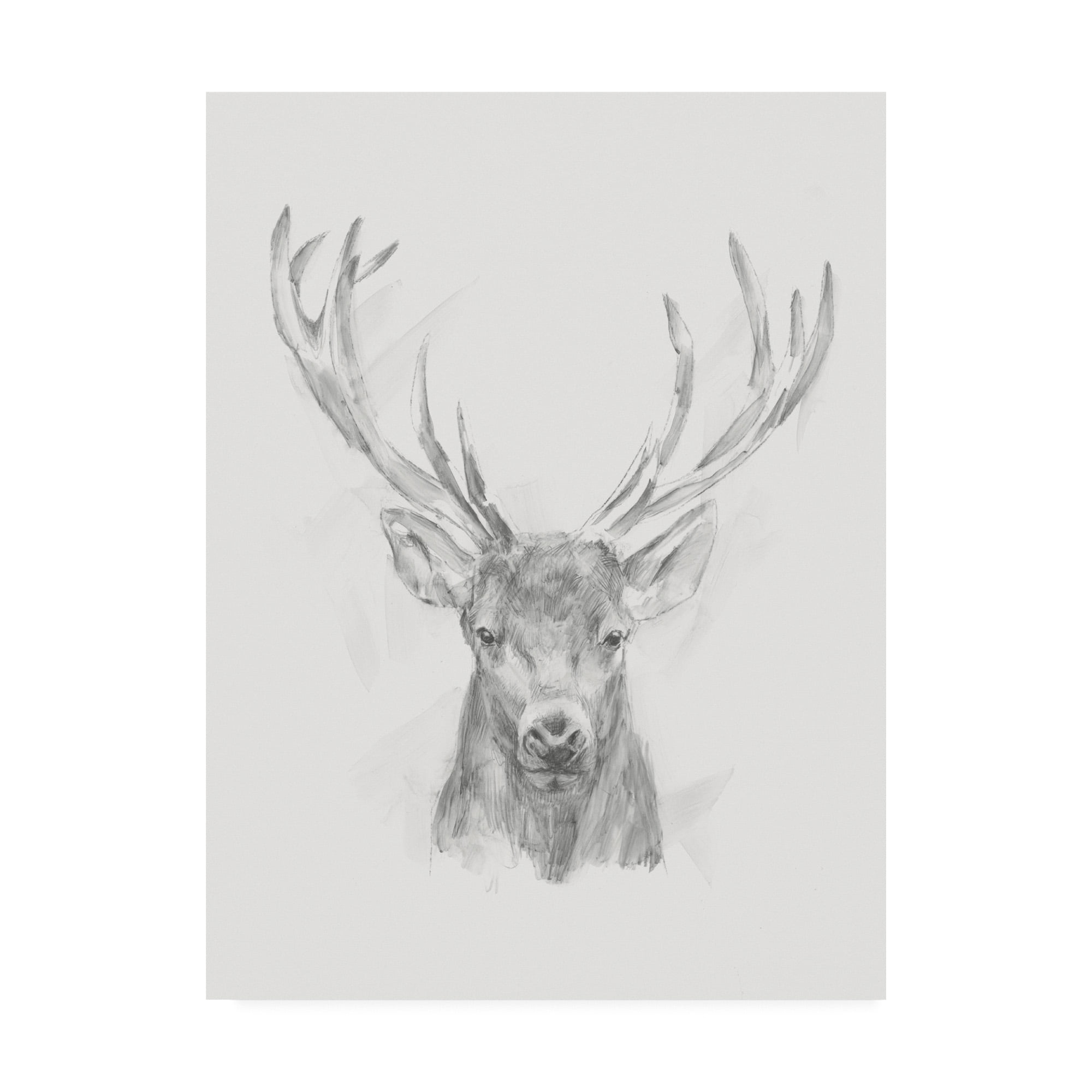 Trademark Fine Art Contemporary Elk Sketch Ii Canvas Art