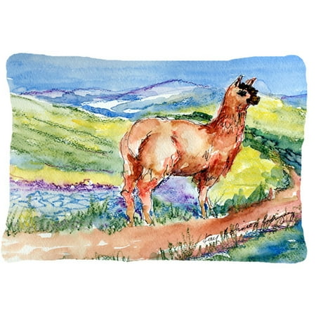 Caroline's Treasures Llama Indoor/Outdoor Throw Pillow
