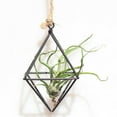 thumbnail image 2 of Hanging Air Plant Holder Himmeli Geometric Planter Metal Airplant Rack Tillandsia Hanger with Chain in Modern Rustic Art Style for Home Decor, 2 of 5