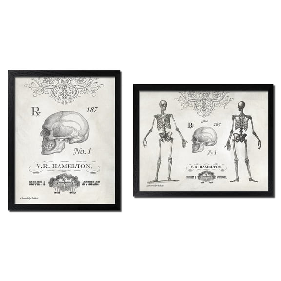 Elegant Black and White Skeleton and Skull Set; One 14x11in and One 11x14in Black Framed Print