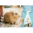 Citrus Magic Pet RinseFree Pet Shampoo for All Animal Type, 8Fluid