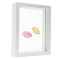 thumbnail image 4 of EeaseCA DIY Stereoscopic Plant Specimen Frame Double Sided Glass Leaves Photo Frame Creative Table Decoration (White, 7 Inches), 4 of 9
