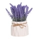 thumbnail image 5 of Planta de lavanda en maceta, plantas de imitación, maceta de cerámica decorativa hecha a mano Estilo B, 5 of 9