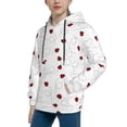 thumbnail image 2 of Fotbe Ladybugs Flying On Dotted Route Pattern Youth Pullover Hooded Sweatshirt, Boys Hoodie, Kangaroo Pocket Hoodie for Kids Girls -Small, 2 of 6