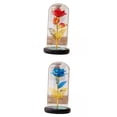 thumbnail image 1 of 2 Rosas en Cúpula de Cristal, Decoración inconfundible para de Rosas Eternas para Regalos ., 1 of 9