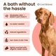 thumbnail image 2 of Polvo preventivo COAT DEFENSE para perros y gatos 255 ml, 2 of 9