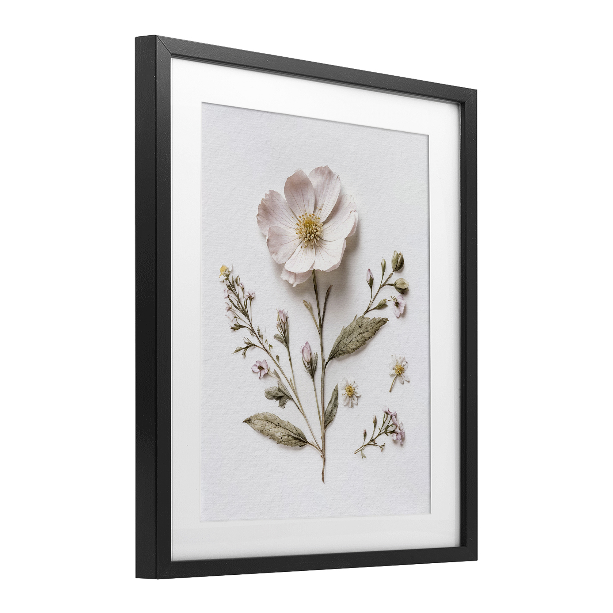 Pressed Wild Flowers Black Framed Print Under Glass, design by Lettered and Lined