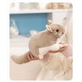 thumbnail image 6 of Mbvtdt Chinchilla 16" Plush Toy,Soft Toy,Stuffed Animal,Cute Children's Pillow Toy Home Decorative Doll,Gifts for Kids, Boys, Girls, 6 of 9