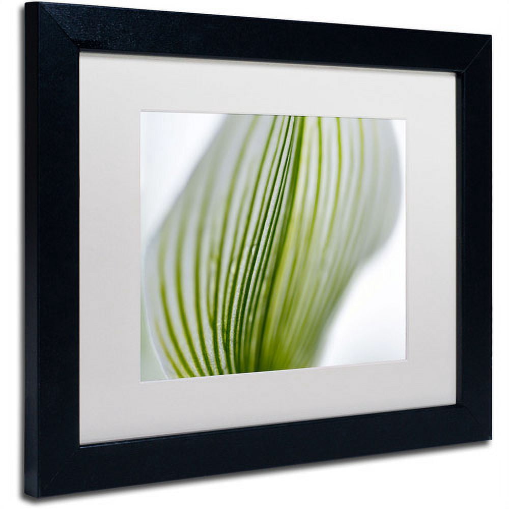 Trademark Fine Art "Orchid Abstract Blurred Lines" Canvas Art by Kurt Shaffer, White Matte, Black Frame
