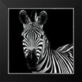 thumbnail image 2 of Van Swearingen, Debra 15x15 Black Modern Framed Museum Art Print Titled - Zebra II Square, 2 of 5