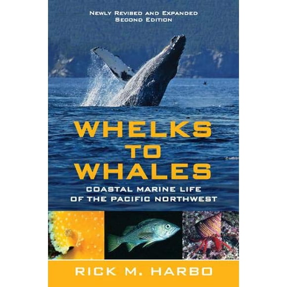 Whelks to Whales: Vie Marine Côtière du Pacifique Nord-Ouest