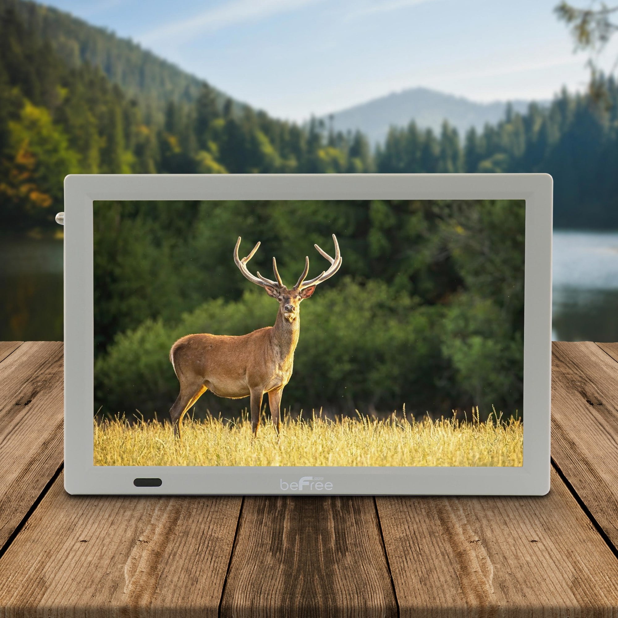 beFree Sound Portable 14 Inch LED TV with HDMI, SD/MMC, USB, VGA, AV In/Out and Built-in Digital Tuner in Gray